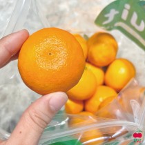 【免運】美國砂糖橘#44