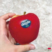 【免運】紐西蘭Dazzle耀眼之星/炫麗蘋果#60