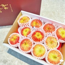 【免運】#150紐西蘭加拉Gala蘋果11入禮盒