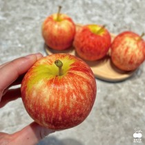 【免運】紐西蘭加拉Gala蘋果#150