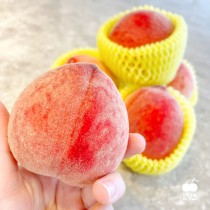 【預購】【免運】台灣紅鈴水蜜桃